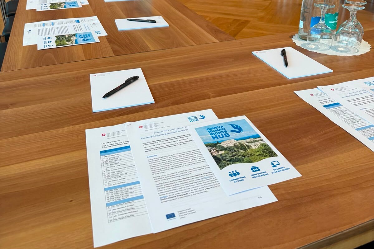 Outcome Report: Rigi Retreat on the Future of the United Nations Human Rights Treaty Body System