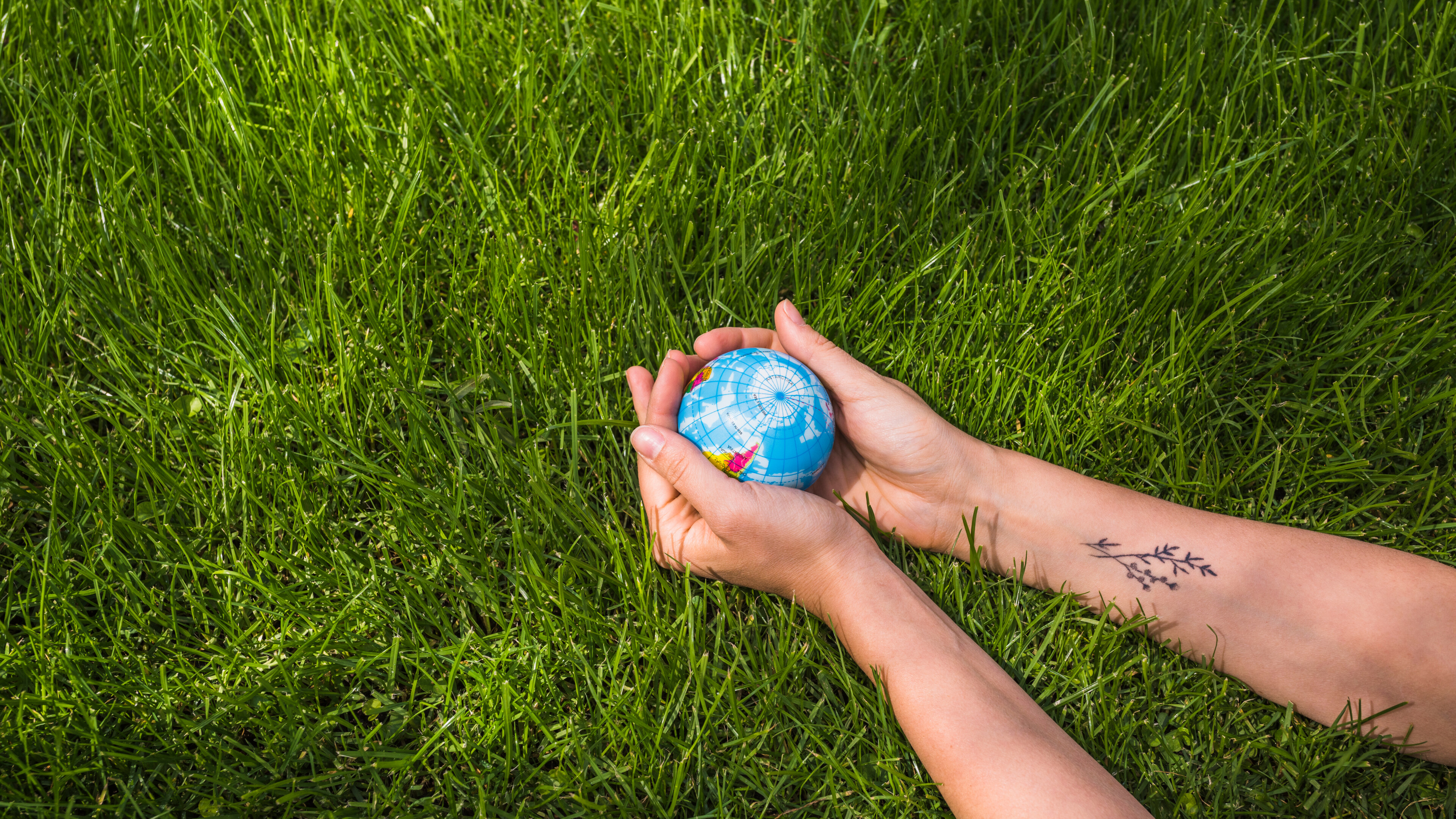 overhead-view-hands-holding-globe-ball-green-grass