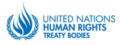 United Nations Human Rights Treaty Bodies